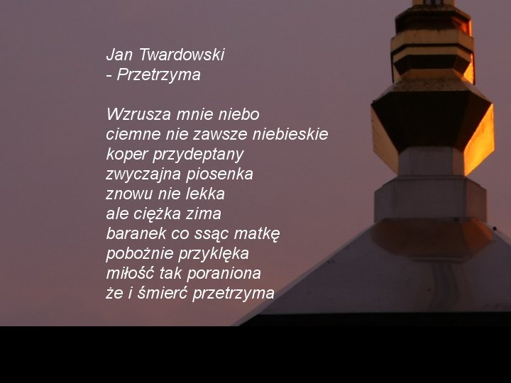 Twardowski Jan - ks. Jan Twardowski - Przetrzyma.jpg