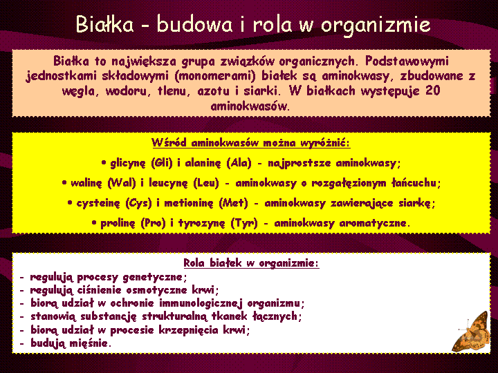 plansze edukacyjne genetyka - Białka - budowa i rola w organizmie.gif