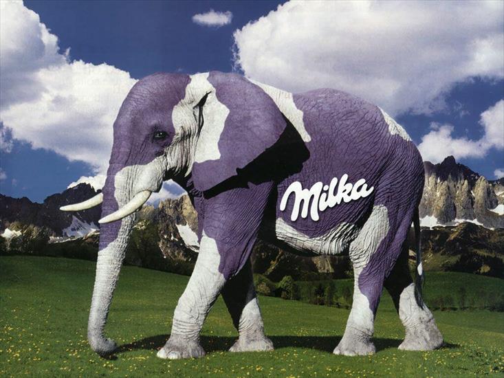 tapety - milka-elefante.jpg