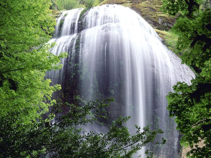Galeria - Silver Falls, Oregon - 1600x1200 - ID 31723.jpg
