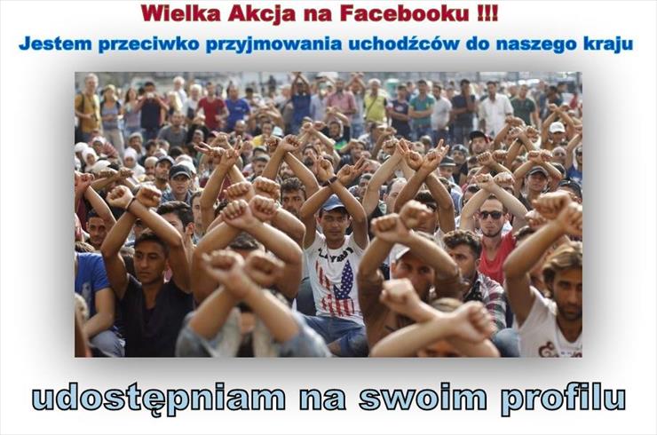 Nasza Polska - żadnych islamskich imigrantów - Nasza Polska - żadnych islamskich imigrantów.jpg