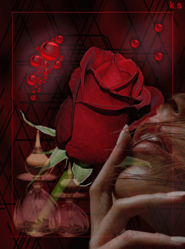 róże czerwone - róża 1.gif