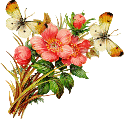 bukiety kwiatów - 1836954811_1.gif