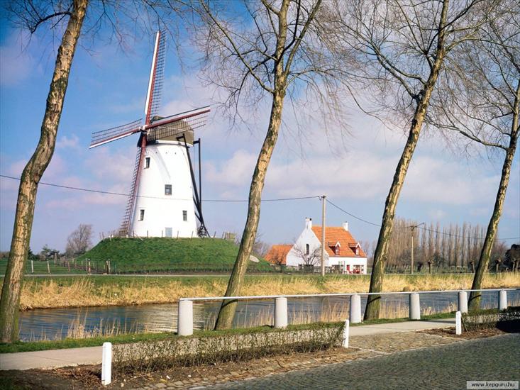 Wiatraki - Nyugat-Vlaanderen-Belgium.jpg