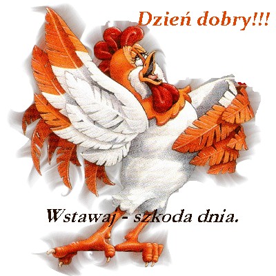 dzien dobry i dobranoc - kogucik-wstawaj.jpg