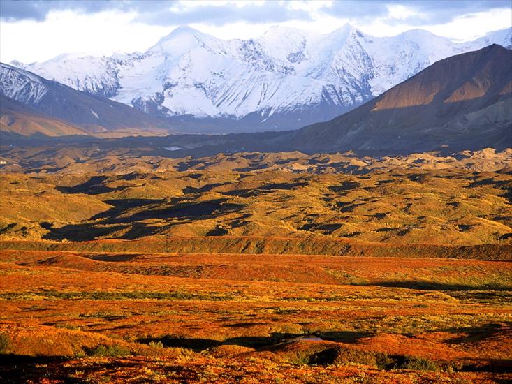 National Park USA Collection - Denali-National-Park,-Alaska.jpg