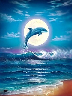 zwierzęta - Dolphin_Moon.jpg