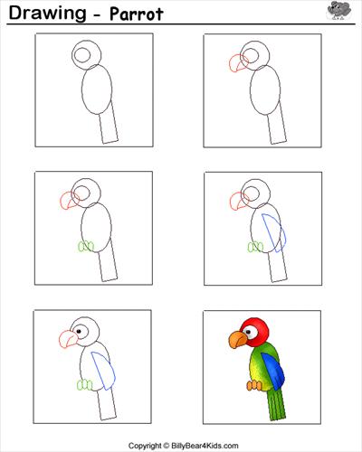 jak to narysować - papuga.jpg