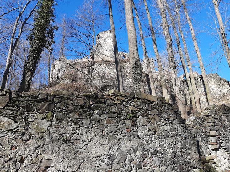 2021.03.06 05 - Proszówka - Ruiny zamku Gryf - 001.jpg